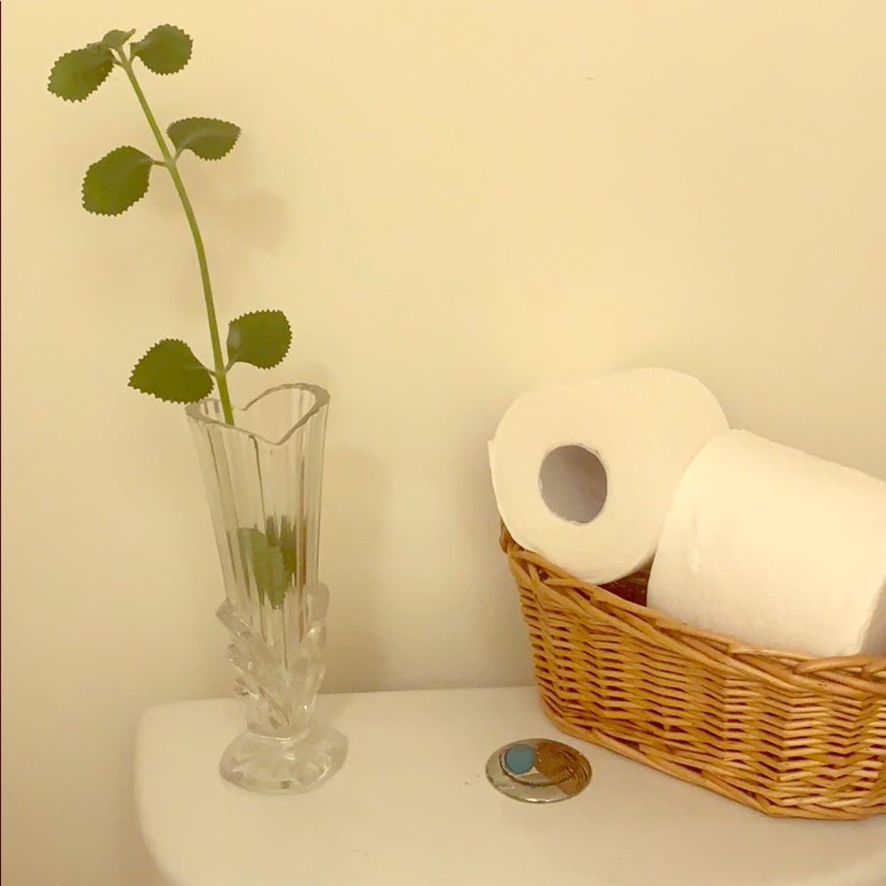 8” Glass Bud Vase of Studio Nova